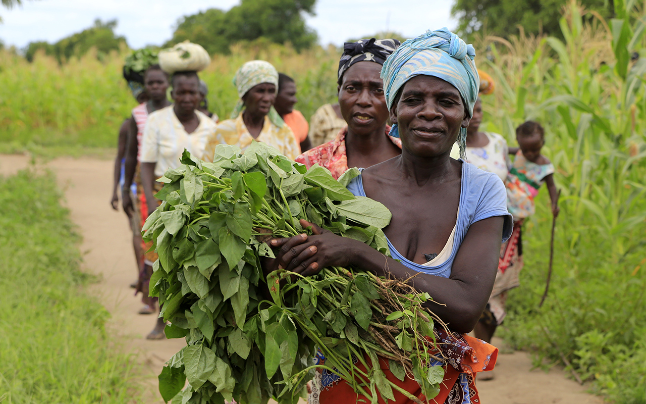 Clube Agricultores CHEIA Nhamatanda.