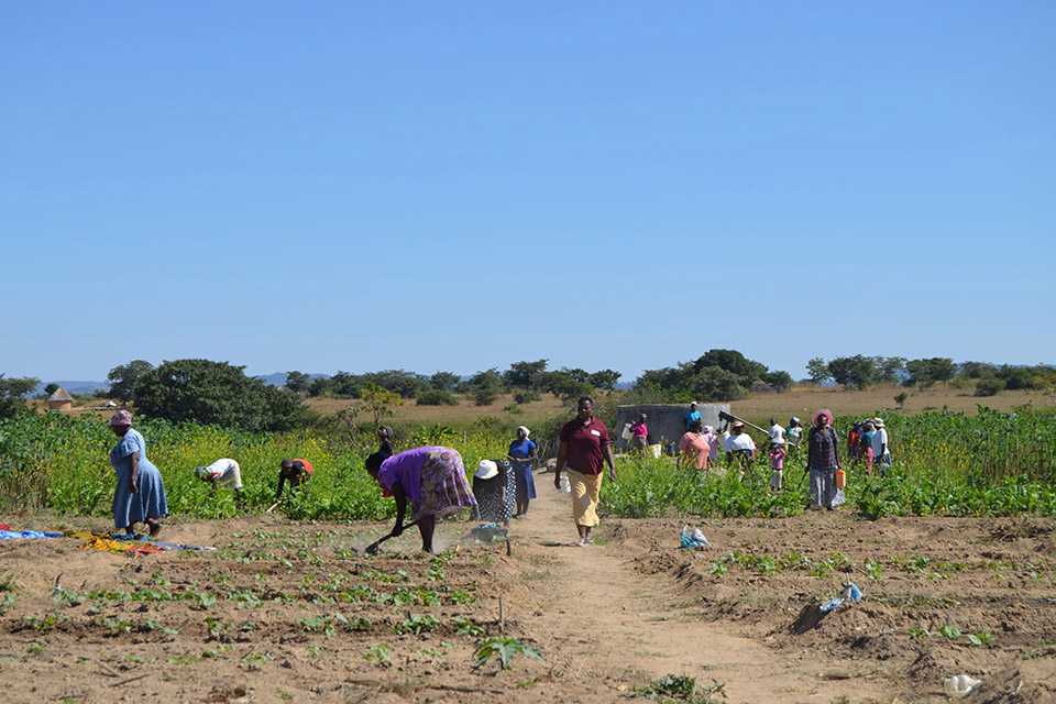 Africa Climate Summit 2023