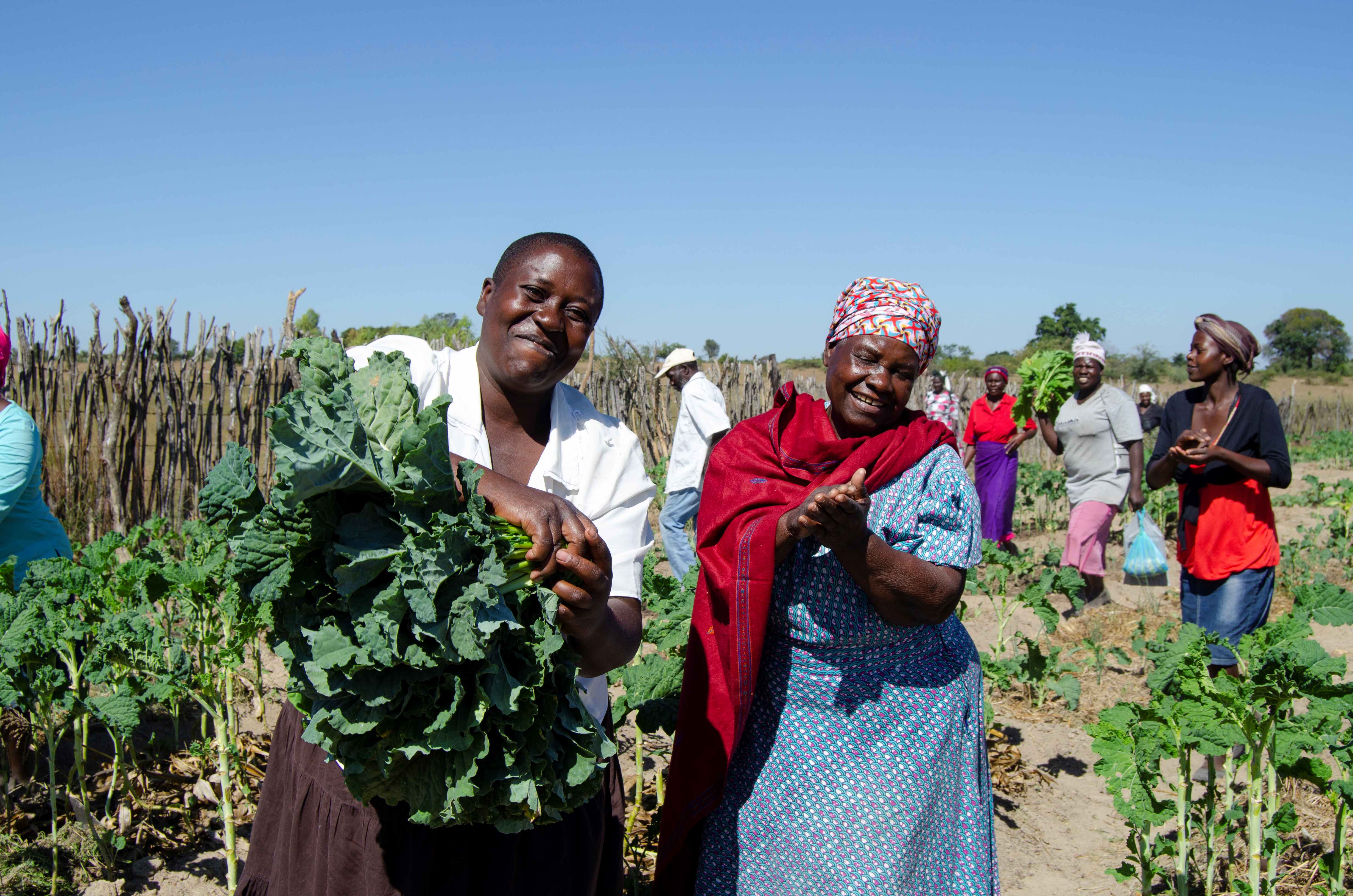 What Can Africa Do To Achieve Self-Reliance 