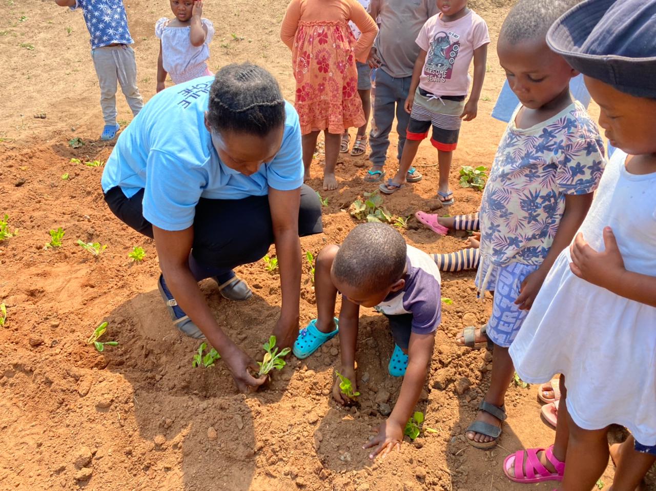 POF Maphumulo Kids develop a better understanding of agriculture