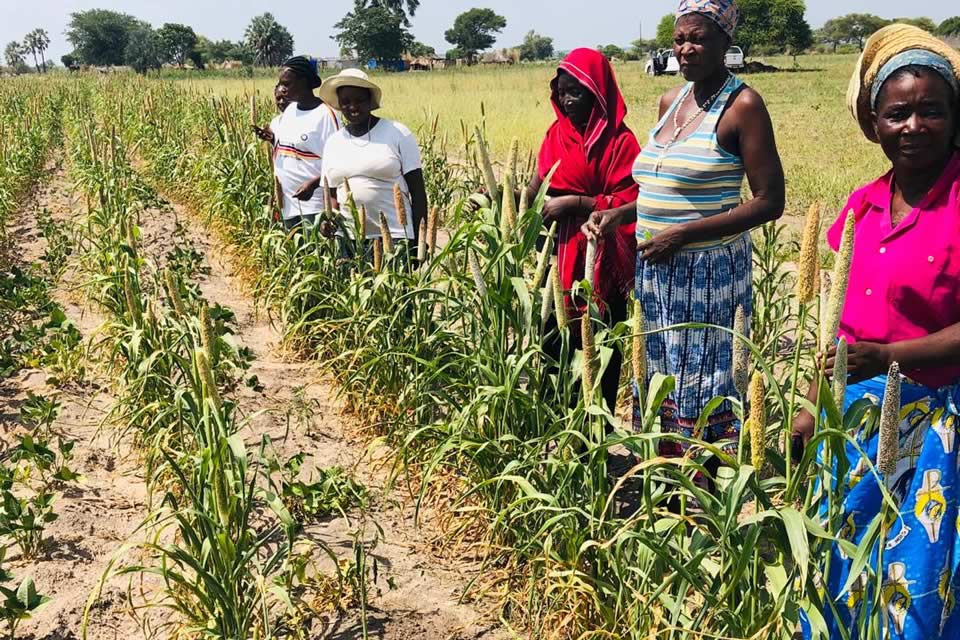 COP25: Climate Emergency in Namibia