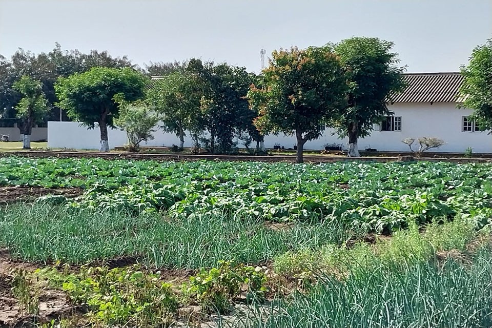 Celebrating 30 years of ADPP Mozambique Teacher Training