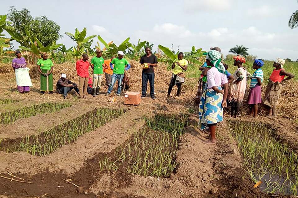 Small-scale farmers hold solution to developing countries’ food crisis