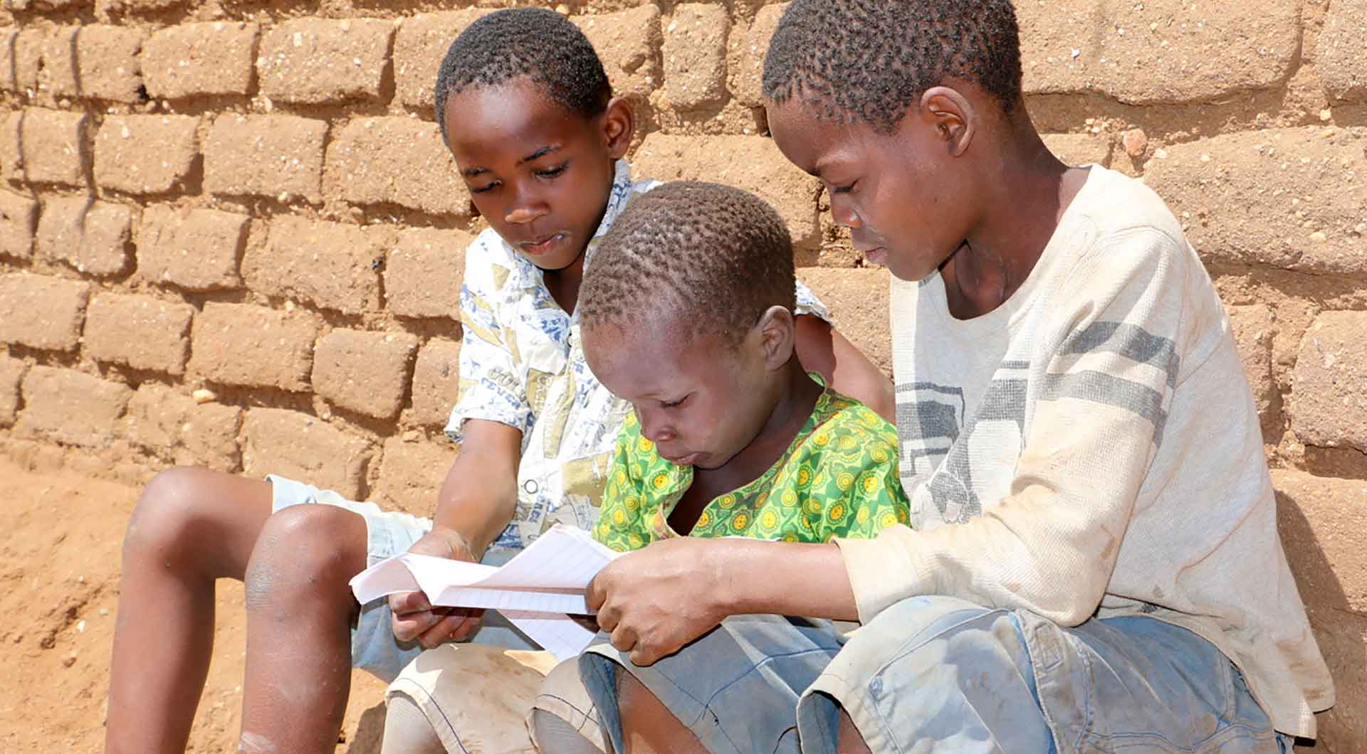 Key reports from our organisation