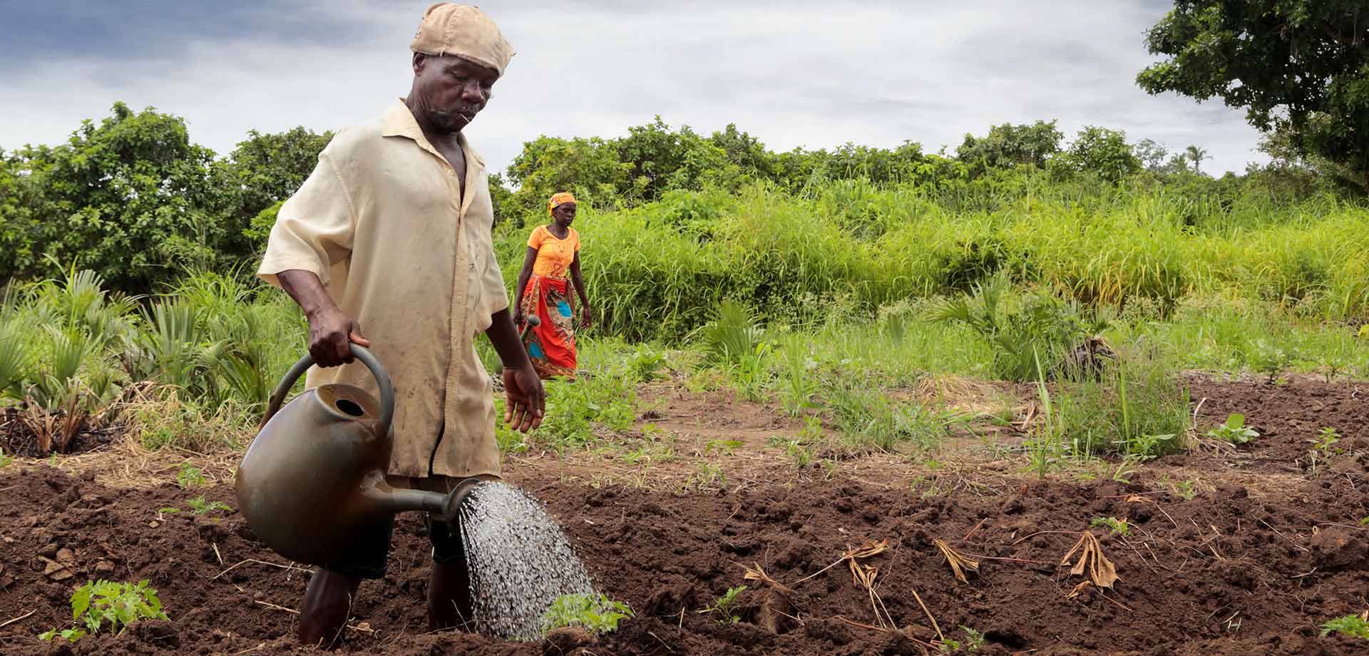 Sustainable Agriculture and Environment